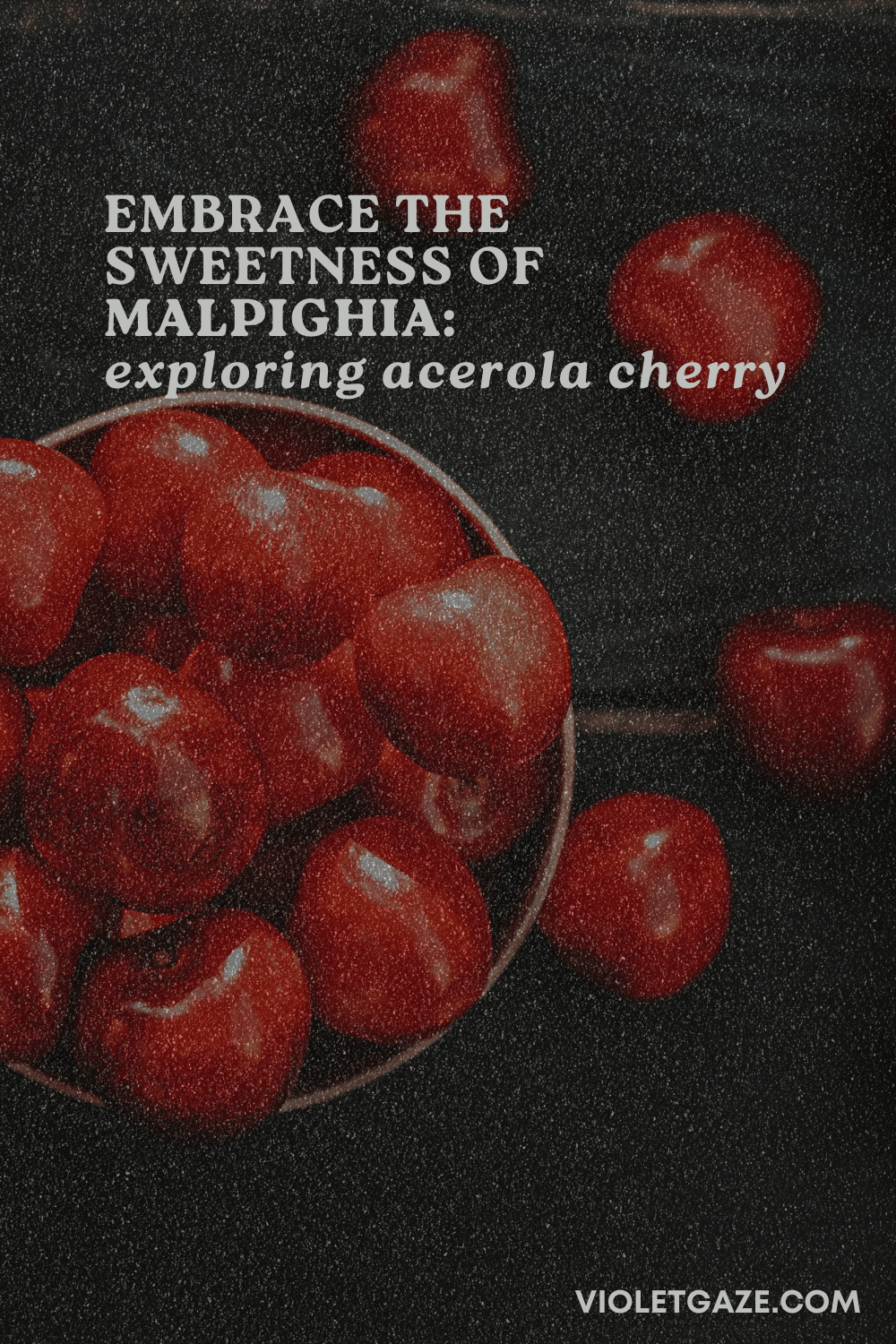 exploring acerola cherry