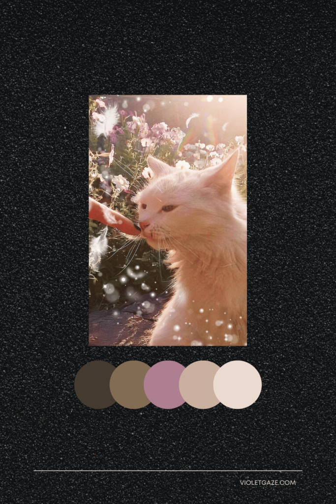 cottagecore color palette cat sniffing finger