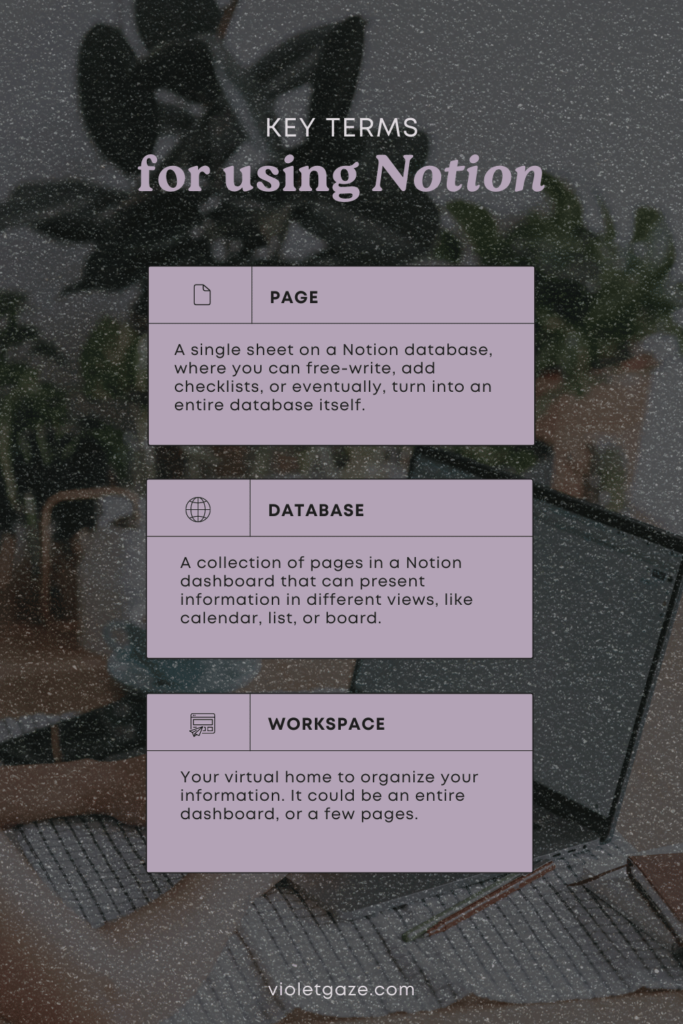 key terms for using notion infographic page, database and workspace
