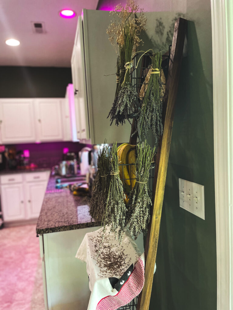 ladder shelf in green kitchen with lavender
